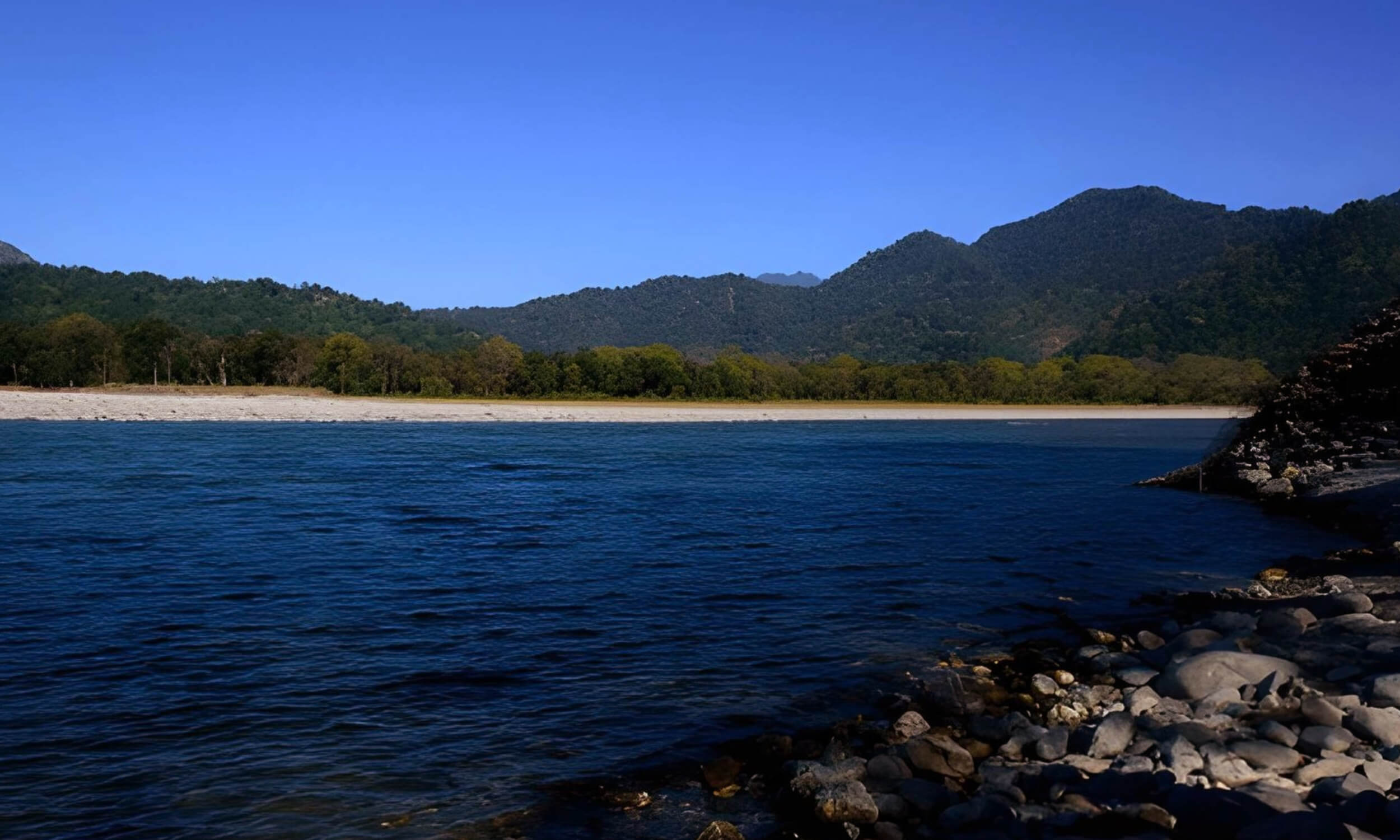 Manas Wildlife Sanctuary Assam