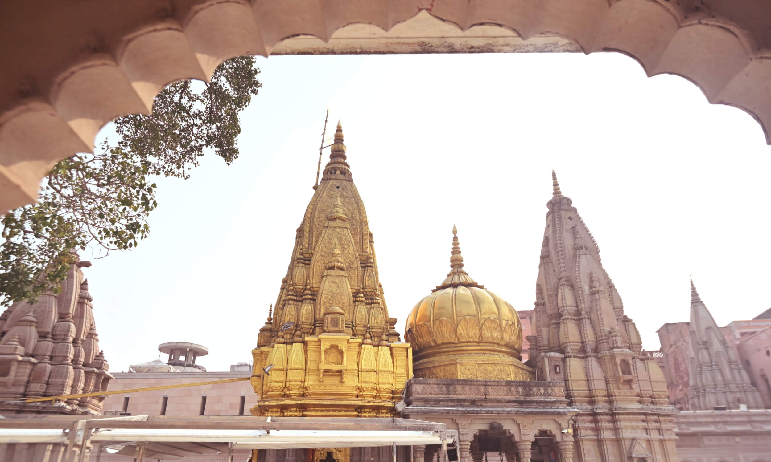 Varanasi Kashi Vishwanath Temple
