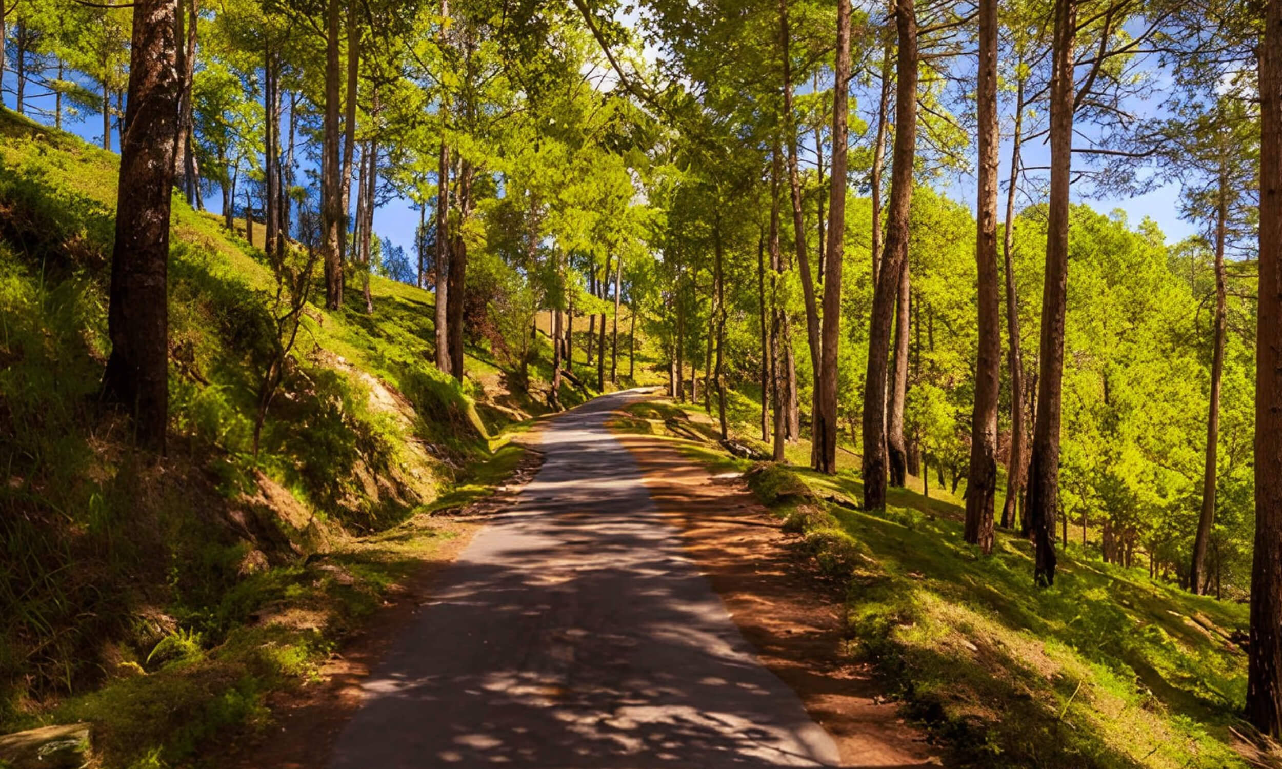 Binsar Uttarakhand