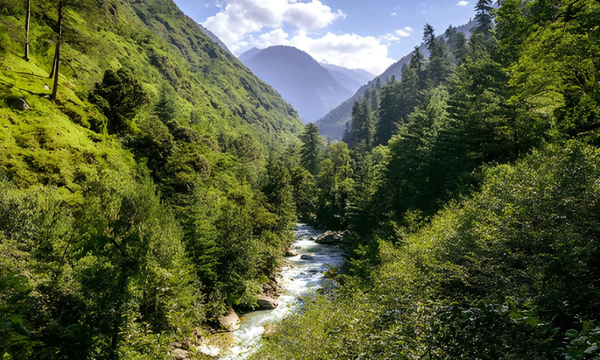 Great Himalayan National Park Himachal