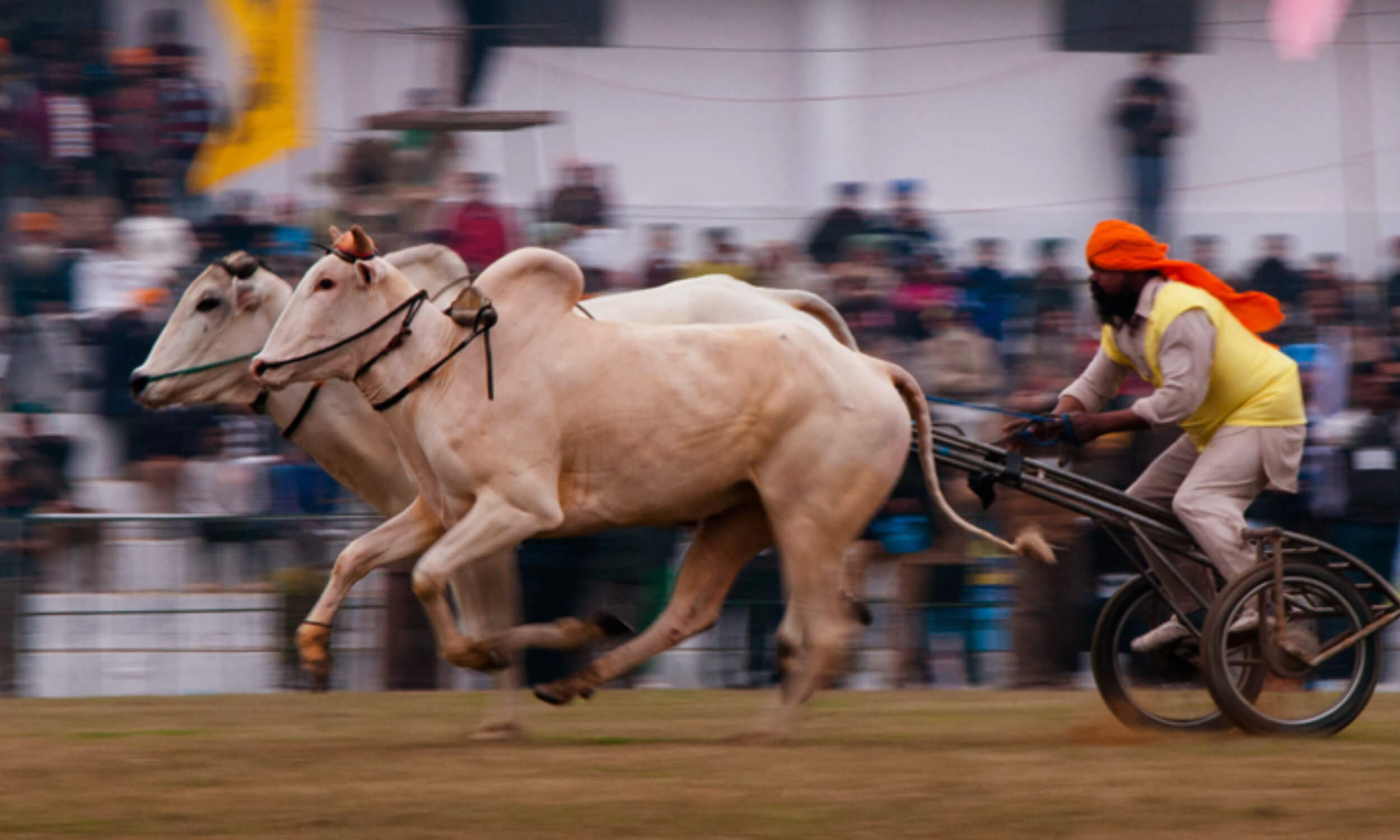 Kila-Raipur-Rural-Olympics-Ludhiana