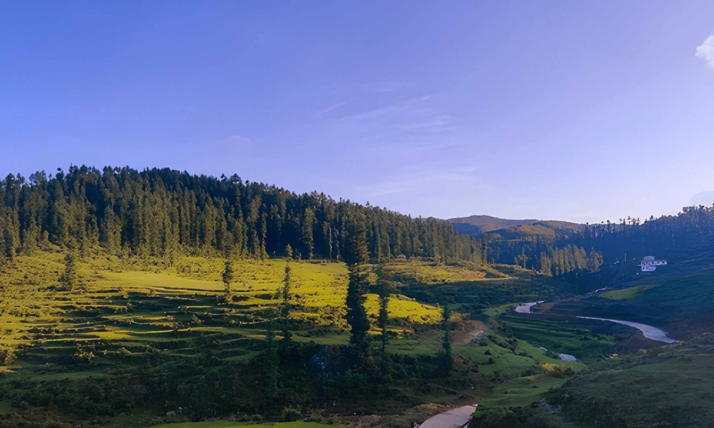 Lohaghat Uttarakhand
