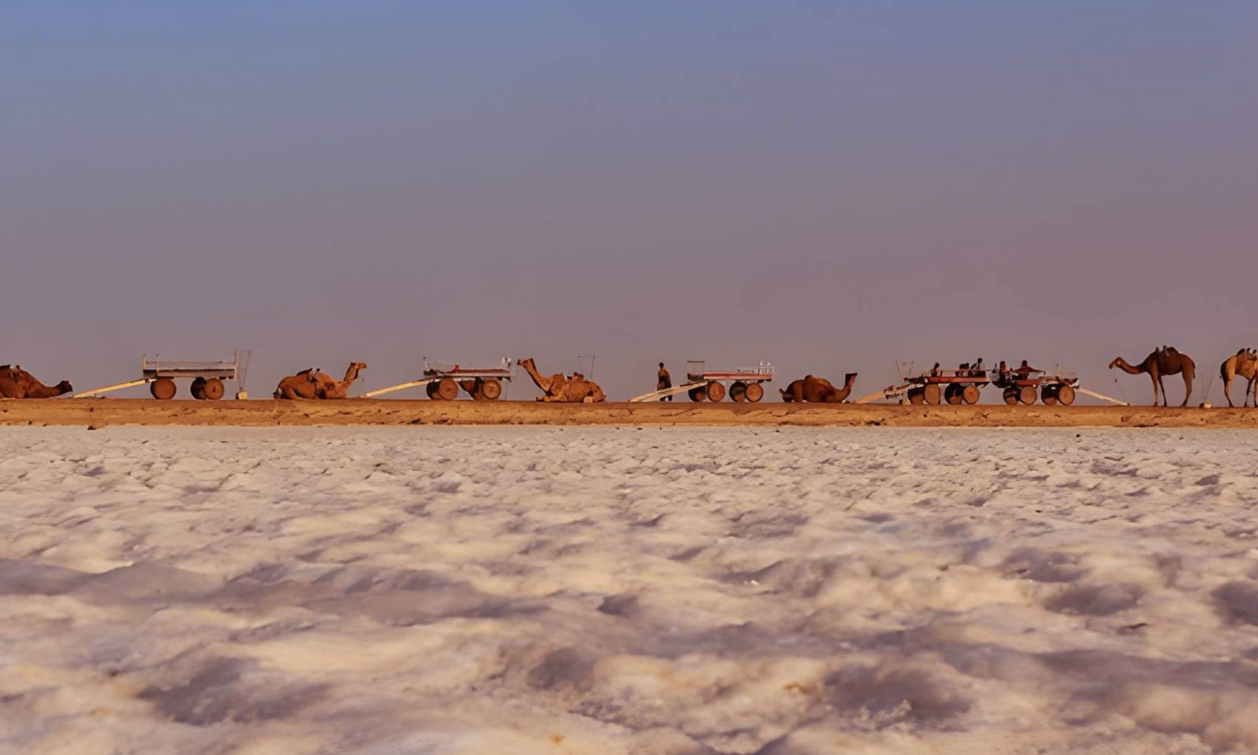 Great Runn of Kutch