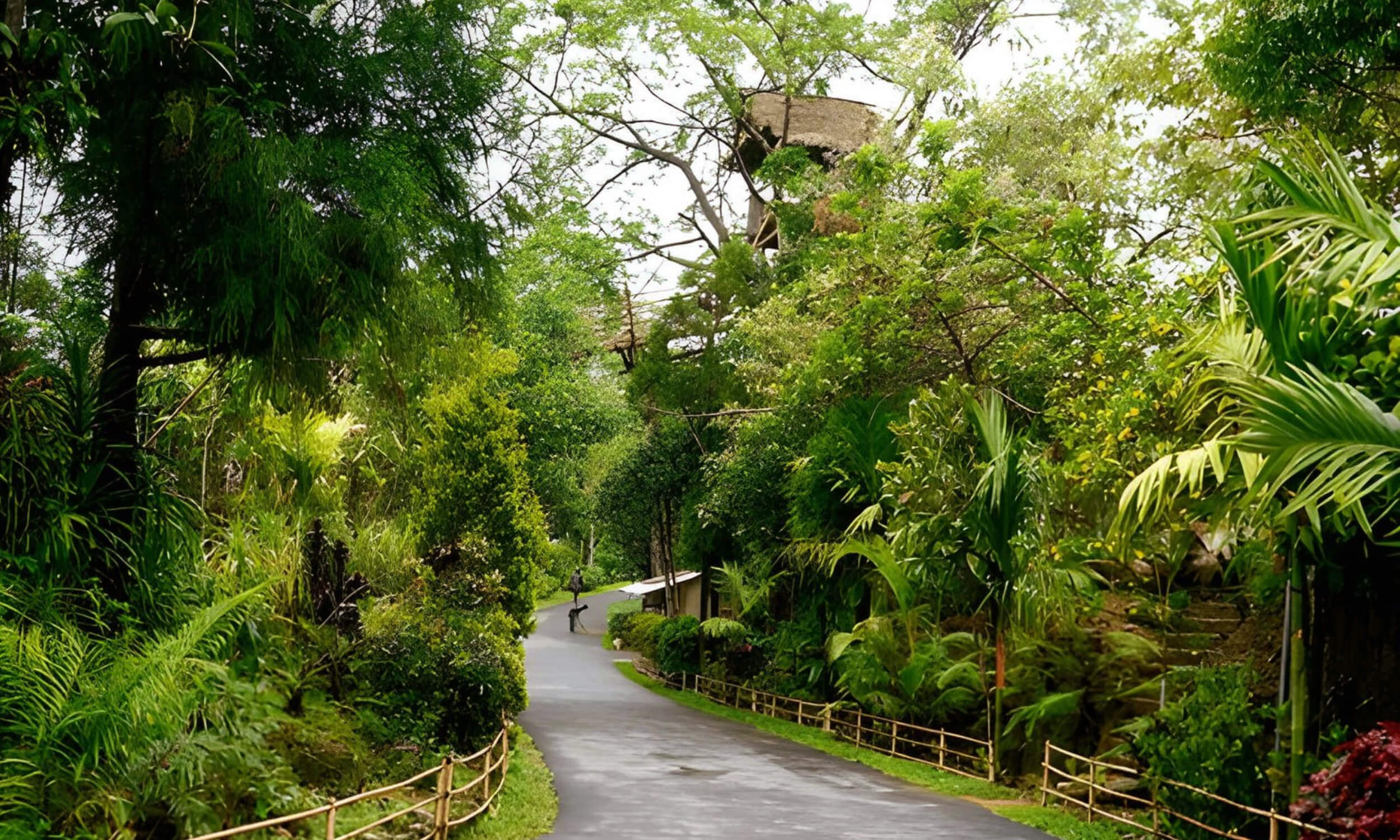 Mawlynnong, Meghalay