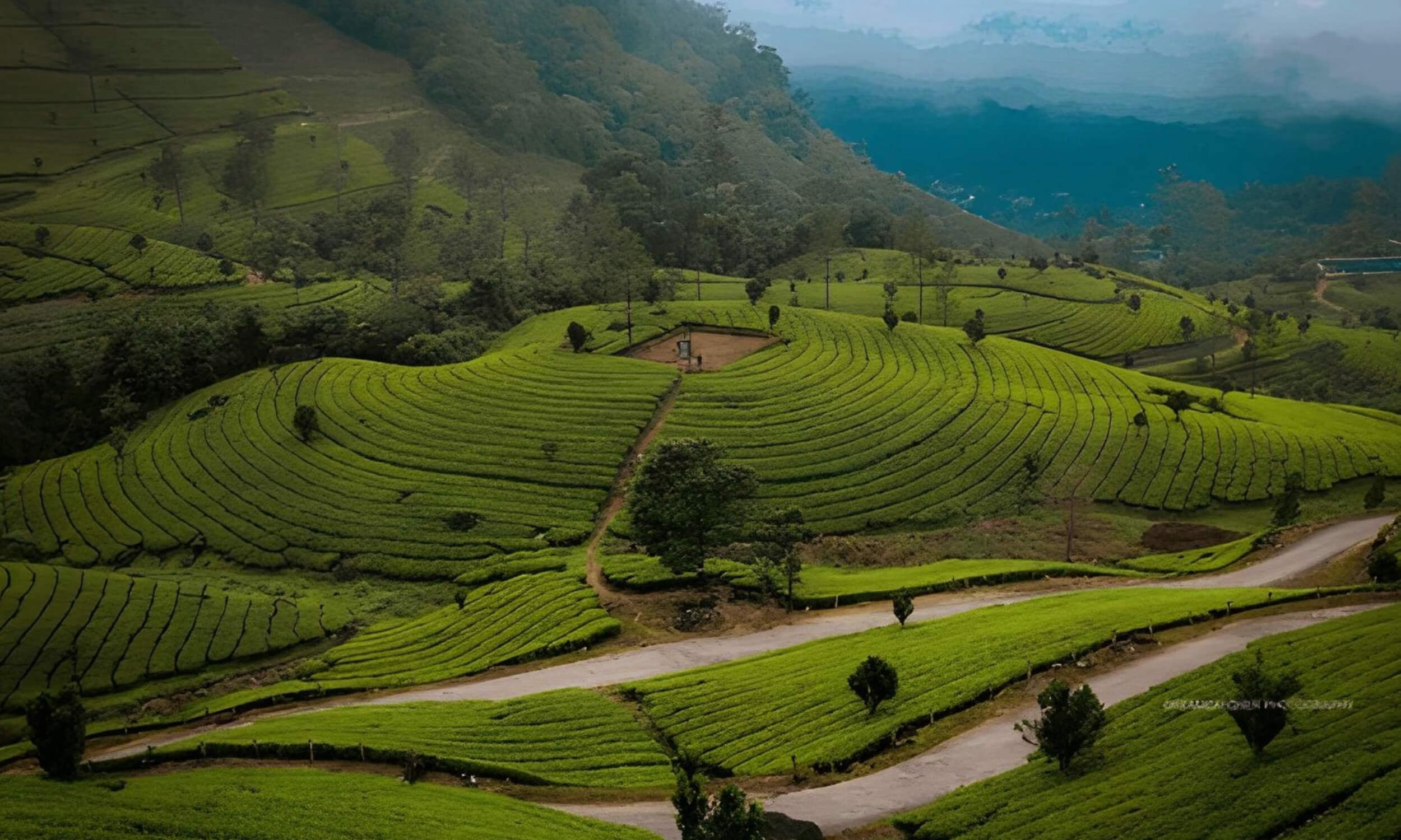 Munnar Kerala