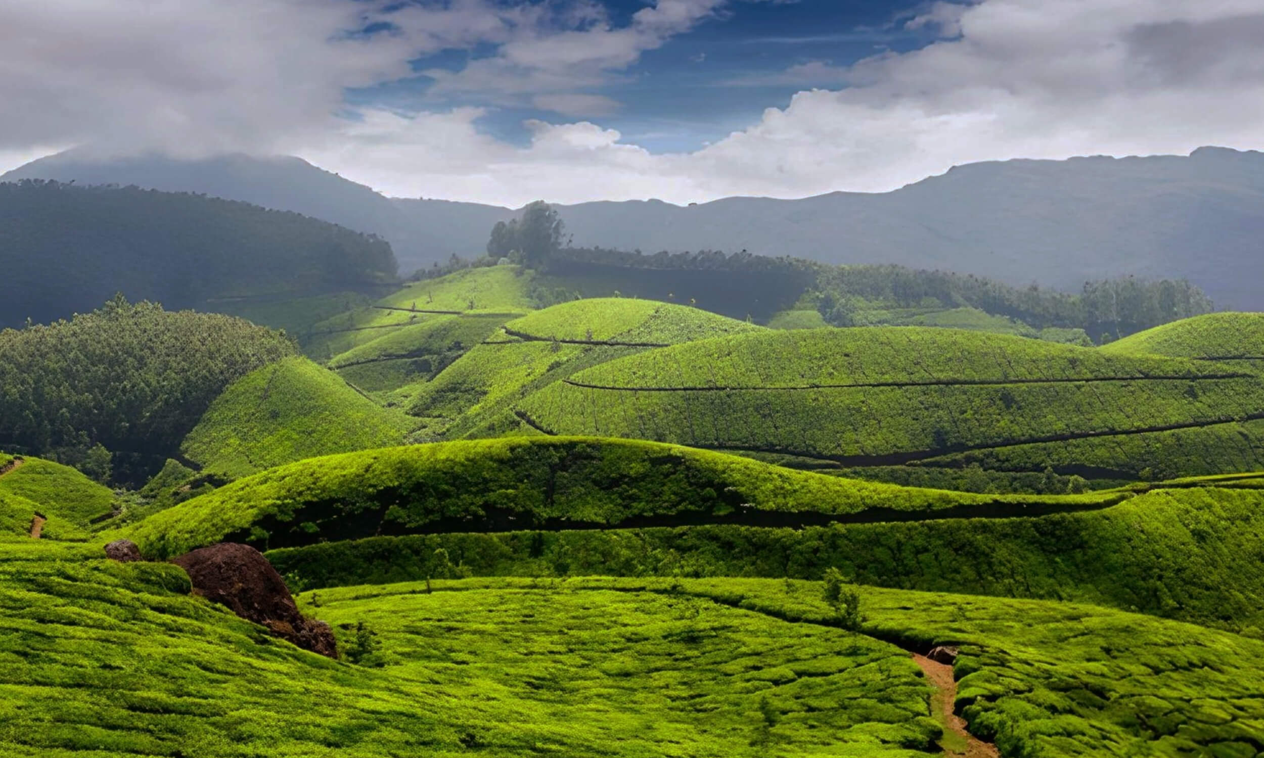 Munnar Kerala