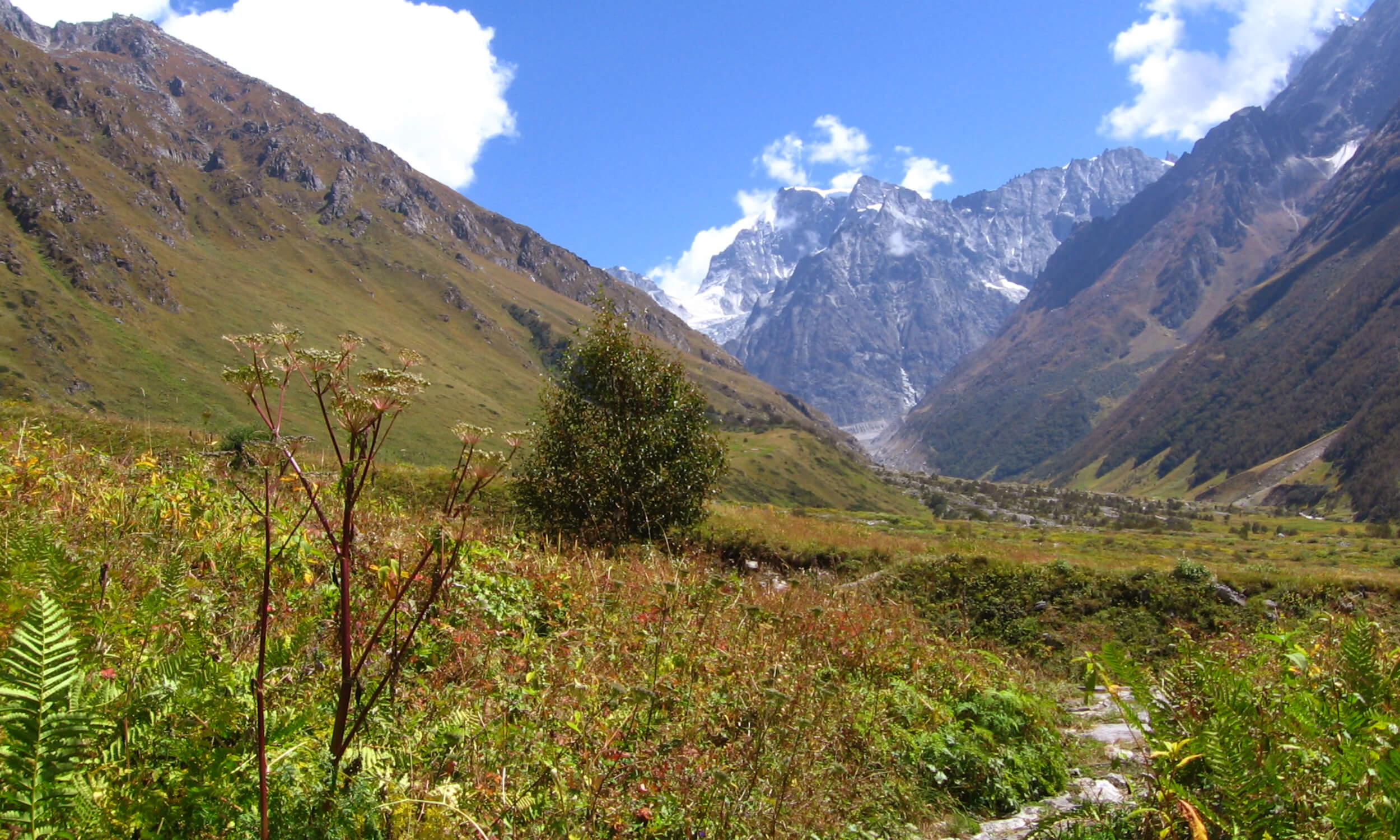 Valley of Flowers Uttarakhand