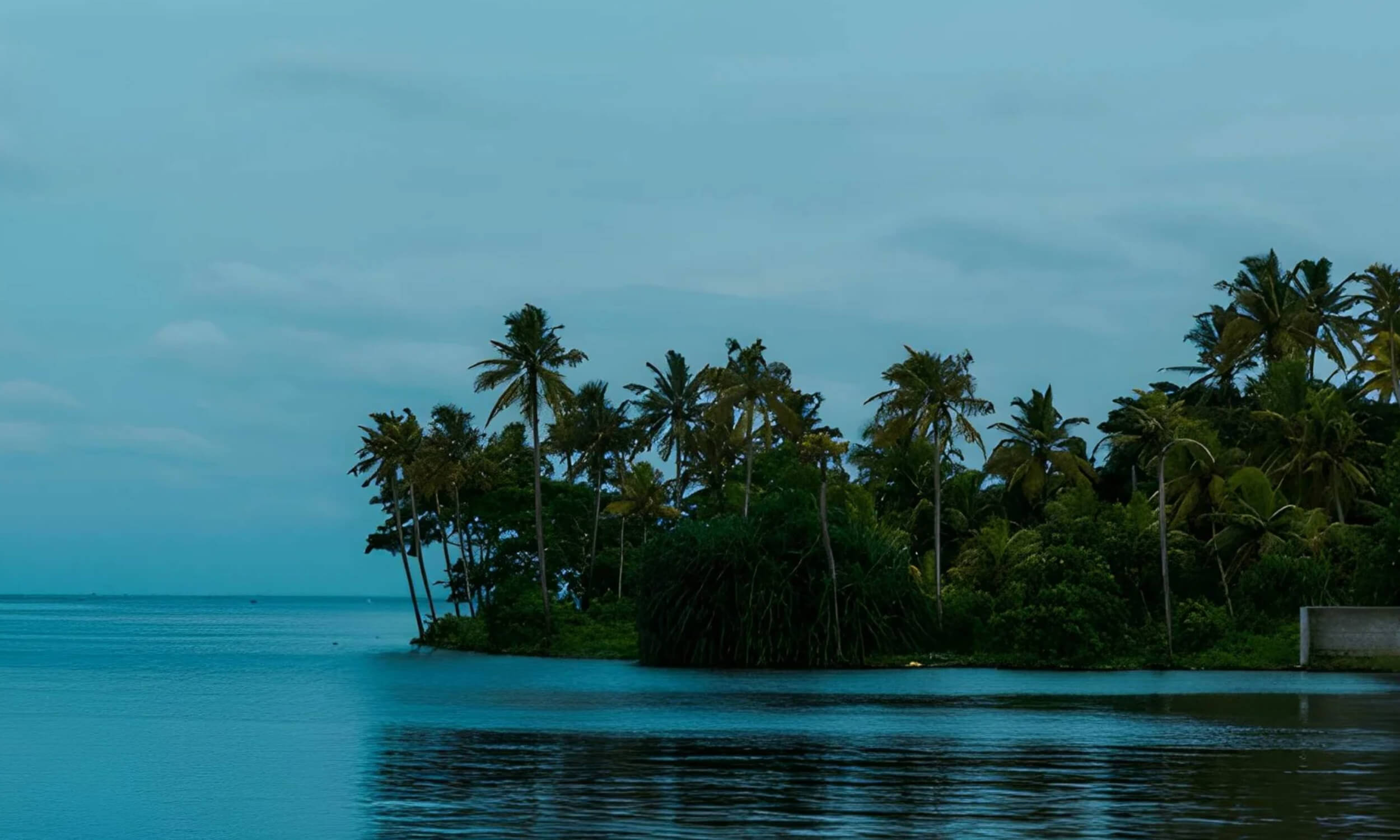 Alappuzha Beach Kerala
