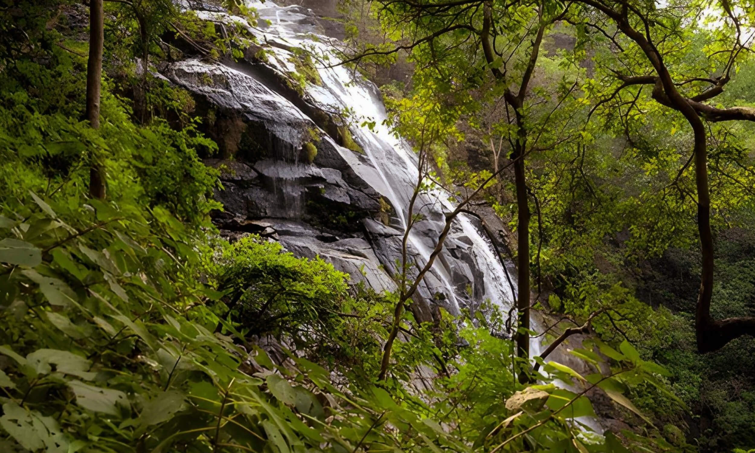 Bee Falls Pachmarhi