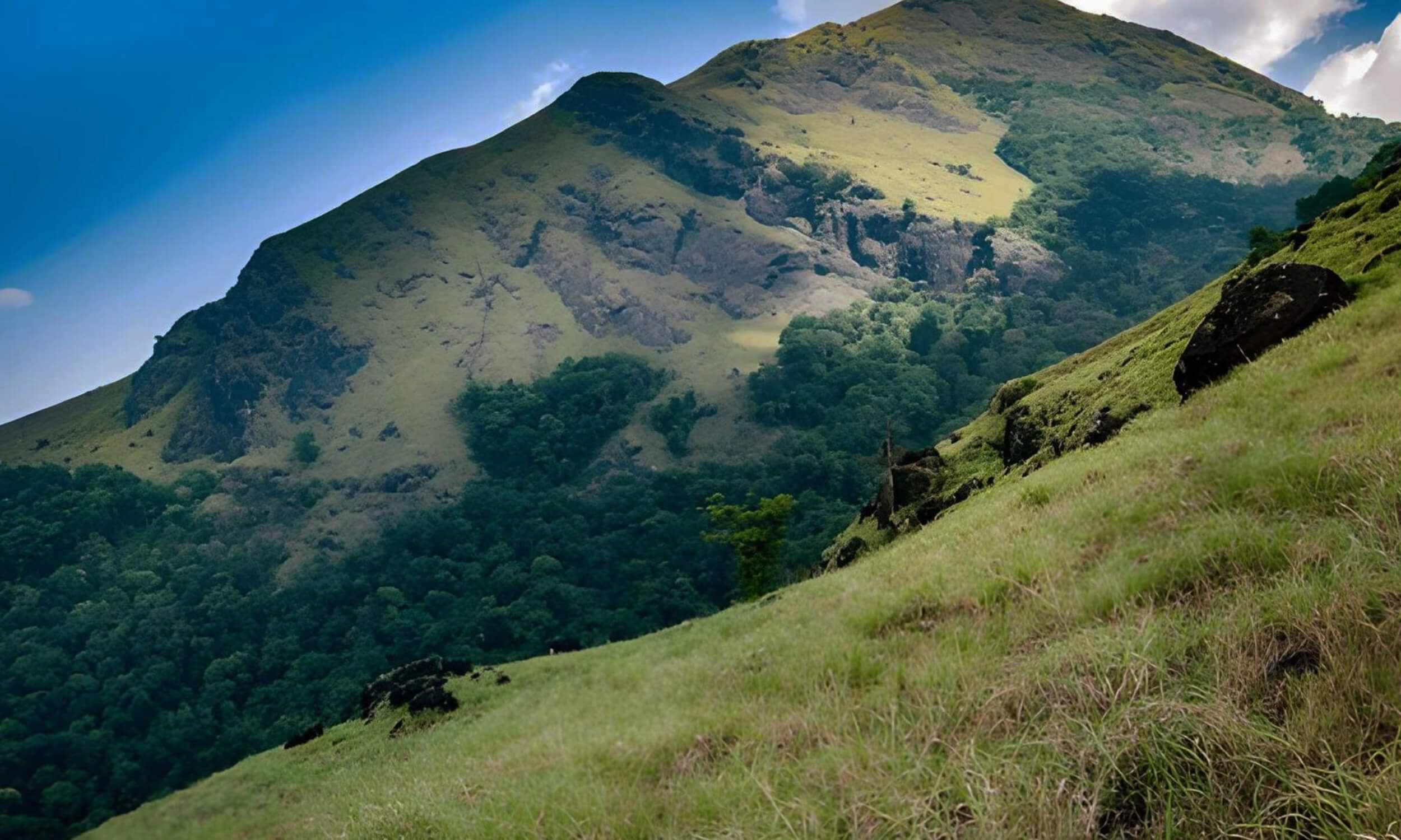 Chembra Peak in Wayanad