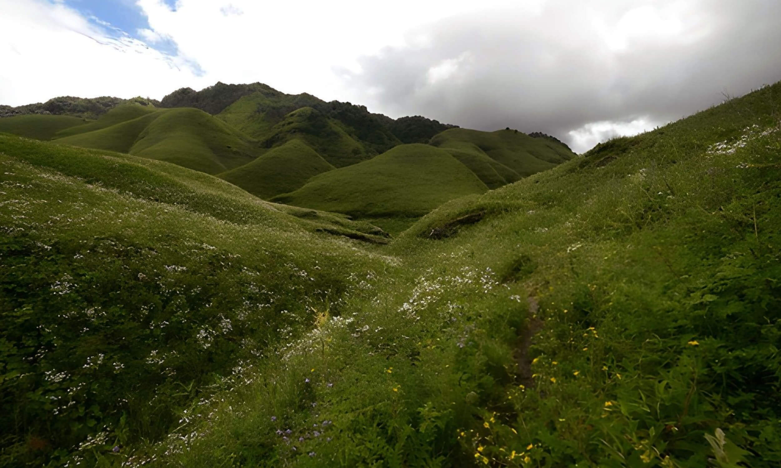 Dzukou Valley Nagaland