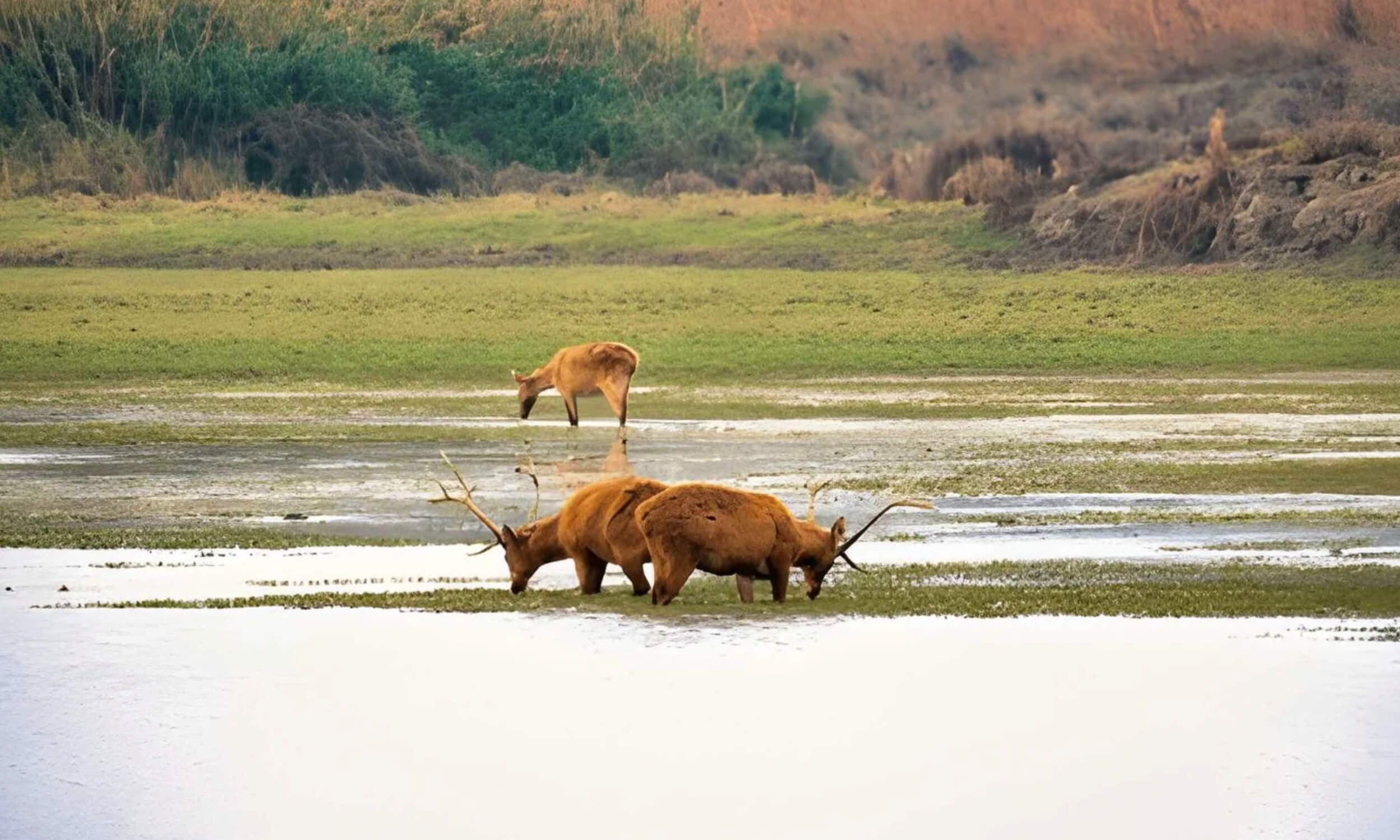 Lesser Known Safaris India