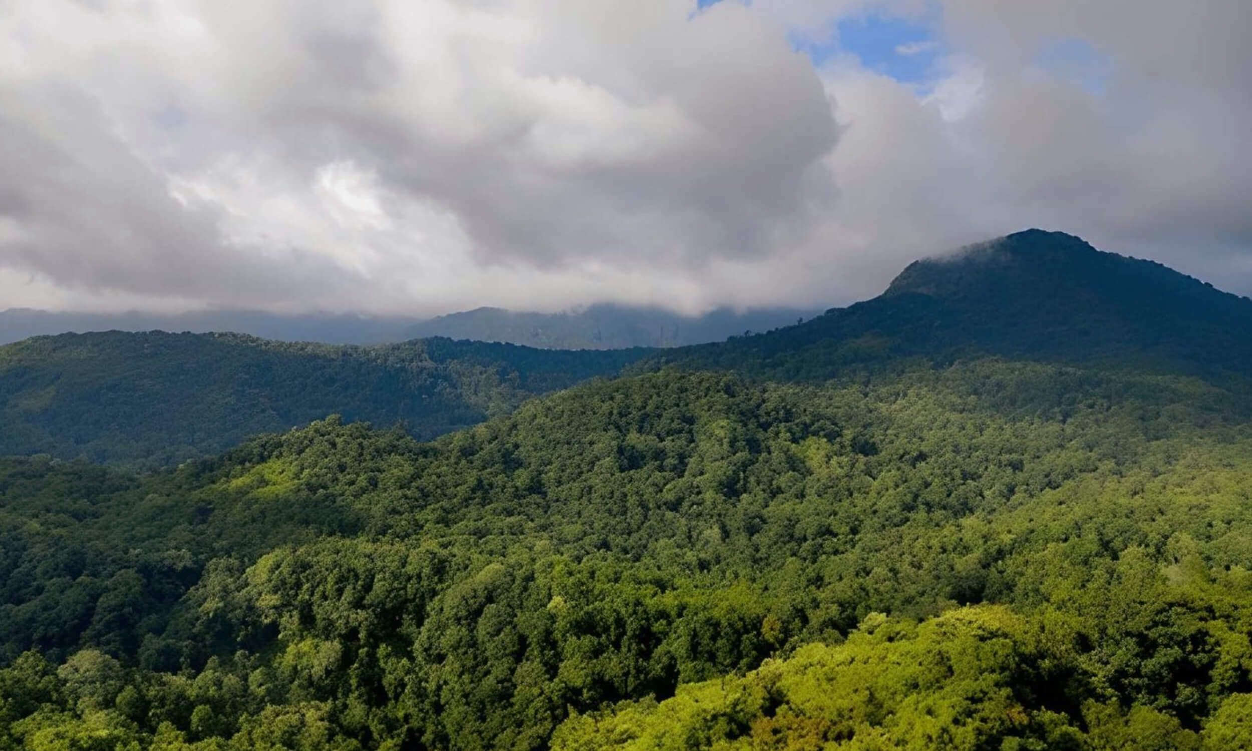 Silent Valley in Palakkad