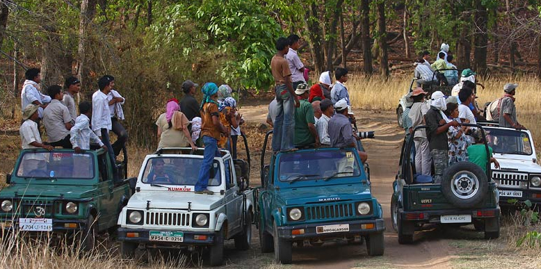 Safari at Bandhavgarh National Park