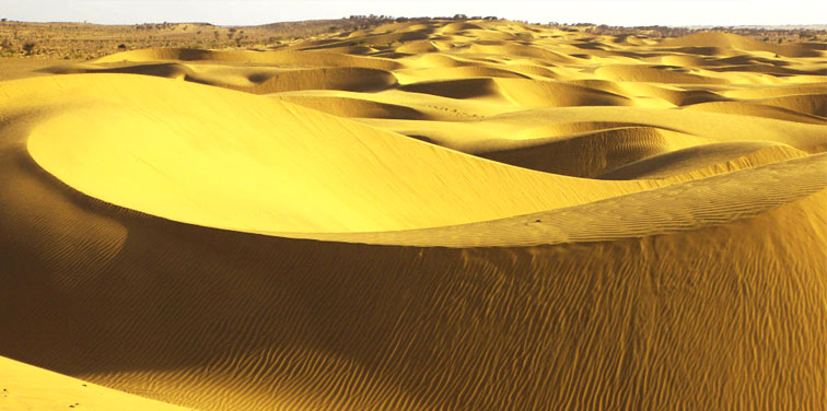 sam-and-sand-dunes