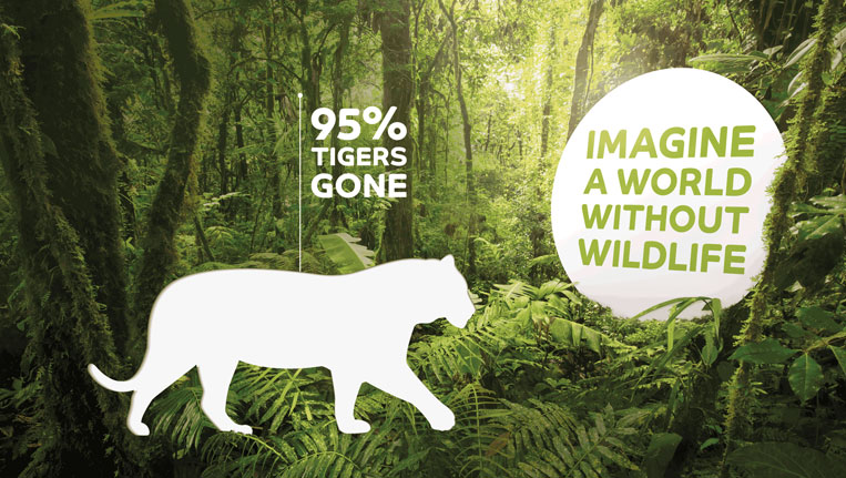 Top Reasons for Illegal Wildlife Trade and How to Stop It? | Wildlife ...