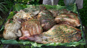 Reasons Why New Zealand Should Be Your Next Vacation Destination