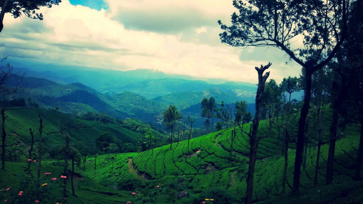 Top 20 Destinations & Places to Visit in July in India | Monsoon Holiday