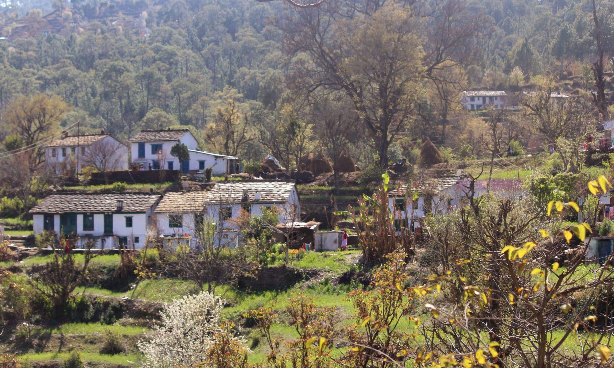 Top 18 Family Vacation Ideas for This Summer in India | Tour My India