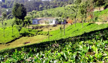 coonoor image