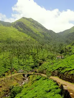 wayanad image