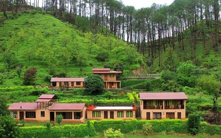 Image result for almora,nari