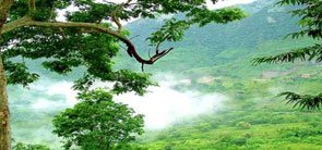 Araku Valley Andhra Pradesh