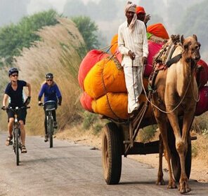 Jaipur Shekhawati Cycling Tour