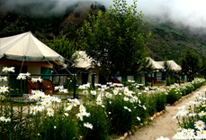 Hotel Banjara Camp Sangla