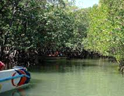 Baratang Island, Andaman Nicobar