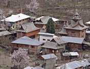 Batseri Village, Kalpa