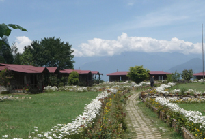 Borong, Sikkim