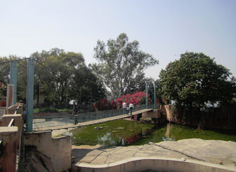 Chambal Udhyan Kota, Rajasthan