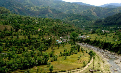 Chindi Shimla