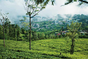 Coonoor Hill Station