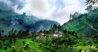 Coorg Hill Station Tour
