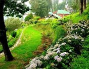 Craignano Shimla