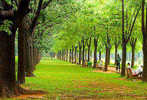 Cubbon Park, Karnataka