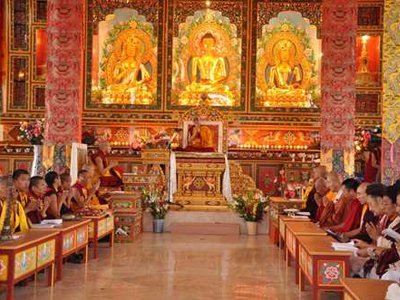 Dorzong Monastic Institute, Palampur