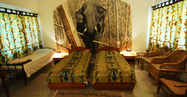bandipur-safari-lodge