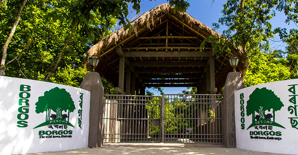 borgos-resort-kaziranga