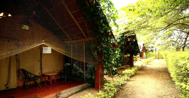 Jungle Inn Nagarhole