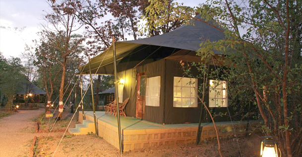 pench-jungle-camp