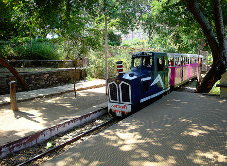 Gulab Bagh and Zoo Udaipur - A Must Visit Place for Nature Lovers