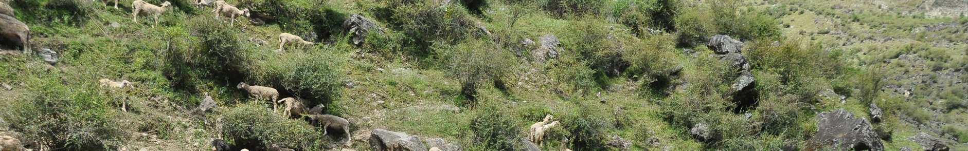 Suketi Fossil Park Himachal Pradesh