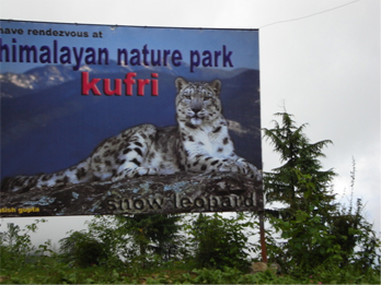 Himalayan National Park Kufri