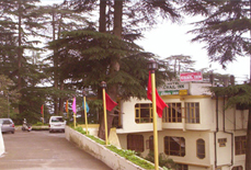 Hotel Chail Inn