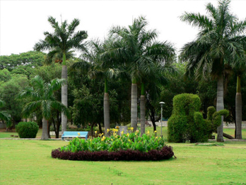 Indira Tourist Park Kufri