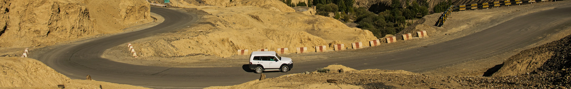 India Jeep Safari Tours