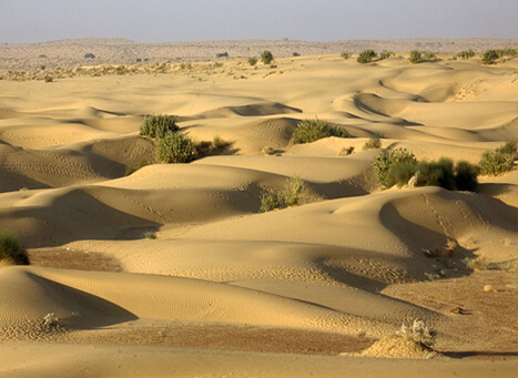 Khuri Sand Dunes Jaisalmer Must Visit Place In Jaisalmer Tourism Guide Khuri Sand Dunes Jaisalmer Must Visit Place In Jaisalmer Tourism Guide